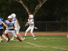 Enlarge photo 452