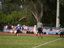 Enlarge photo 460