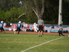 Enlarge photo 463