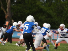Enlarge photo 466