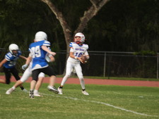 Enlarge photo 467