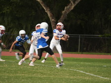 Enlarge photo 468