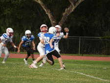 Enlarge photo 469