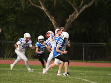 Enlarge photo 471