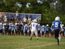 Enlarge photo 473