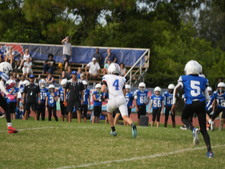 Enlarge photo 474