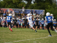 Enlarge photo 476