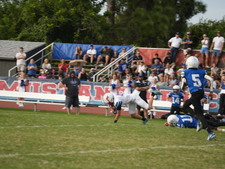 Enlarge photo 481