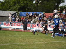 Enlarge photo 482