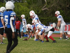 Enlarge photo 487