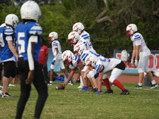 Enlarge photo 489