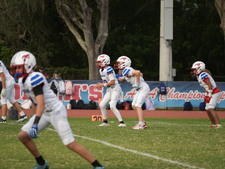 Enlarge photo 490