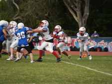Enlarge photo 499