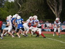 Enlarge photo 501