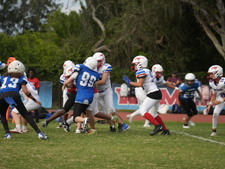 Enlarge photo 504