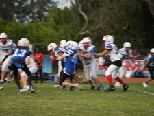 Enlarge photo 505