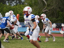 Enlarge photo 529