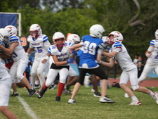 Enlarge photo 535