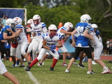 Enlarge photo 536