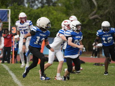 Enlarge photo 540