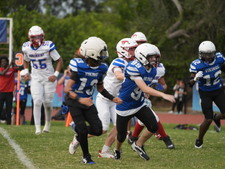 Enlarge photo 543