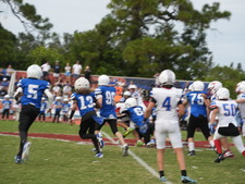 Enlarge photo 560