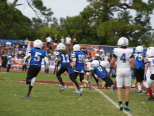 Enlarge photo 561