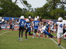 Enlarge photo 563