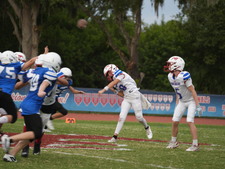 Enlarge photo 593