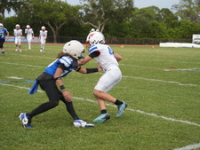 Enlarge photo 628