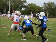 Enlarge photo 646