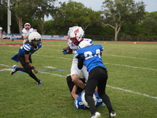 Enlarge photo 653