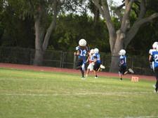 Enlarge photo 732