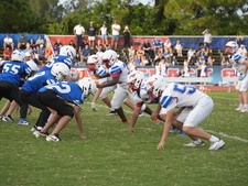 Enlarge photo 813