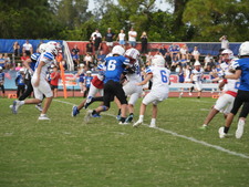 Enlarge photo 838