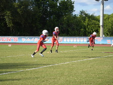 Enlarge photo 74