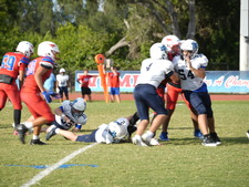 Enlarge photo 106