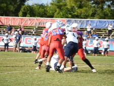 Enlarge photo 120