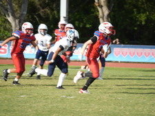 Enlarge photo 130