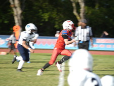 Enlarge photo 131