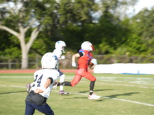 Enlarge photo 135