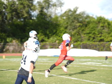 Enlarge photo 137