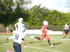 Enlarge photo 138