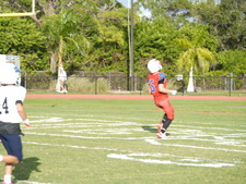 Enlarge photo 143