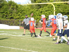 Enlarge photo 145