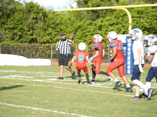 Enlarge photo 146