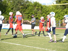 Enlarge photo 151