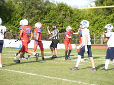 Enlarge photo 152