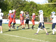 Enlarge photo 153