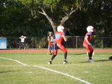 Enlarge photo 161